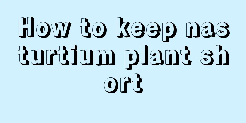 How to keep nasturtium plant short