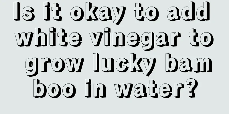 Is it okay to add white vinegar to grow lucky bamboo in water?