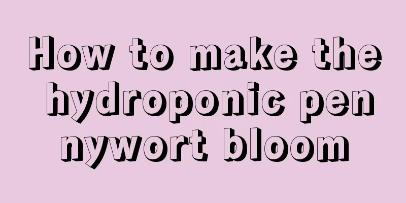 How to make the hydroponic pennywort bloom