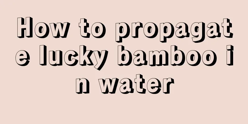 How to propagate lucky bamboo in water