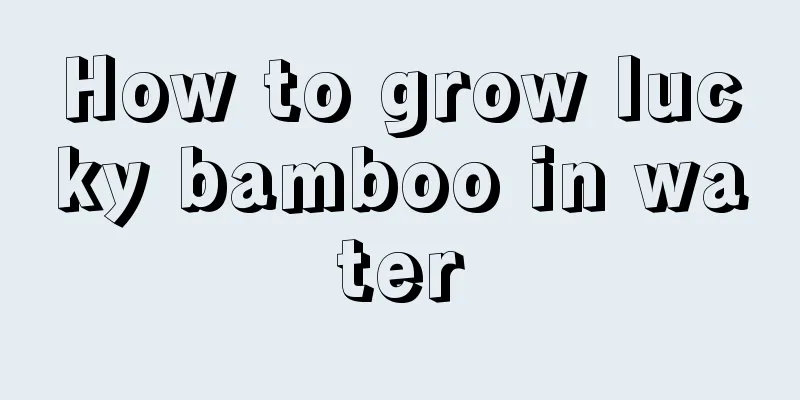 How to grow lucky bamboo in water