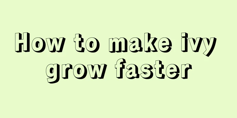 How to make ivy grow faster