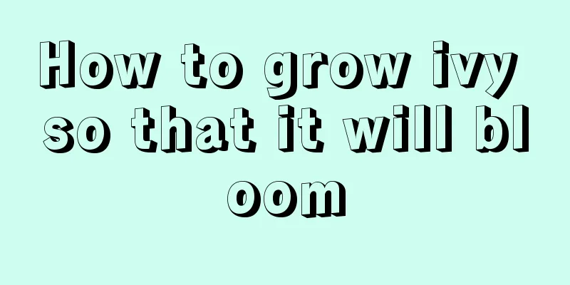 How to grow ivy so that it will bloom