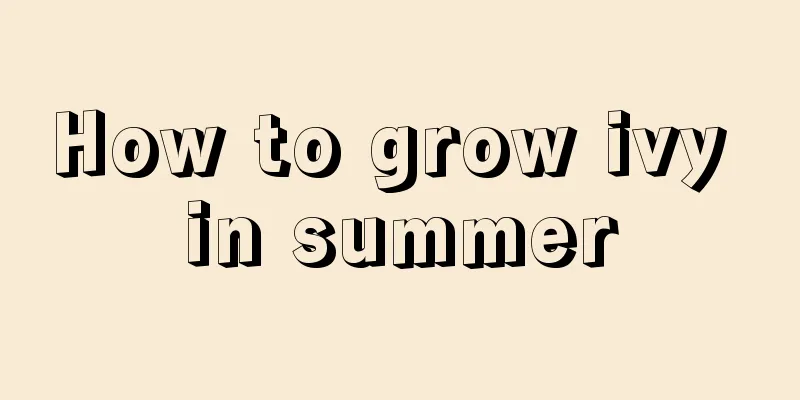 How to grow ivy in summer