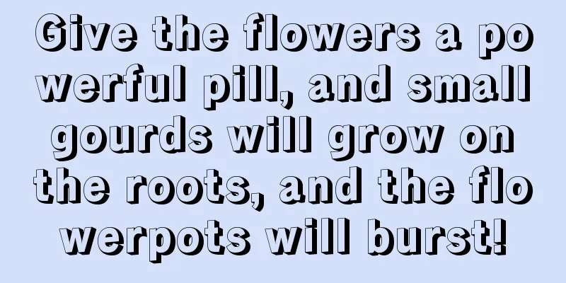 Give the flowers a powerful pill, and small gourds will grow on the roots, and the flowerpots will burst!