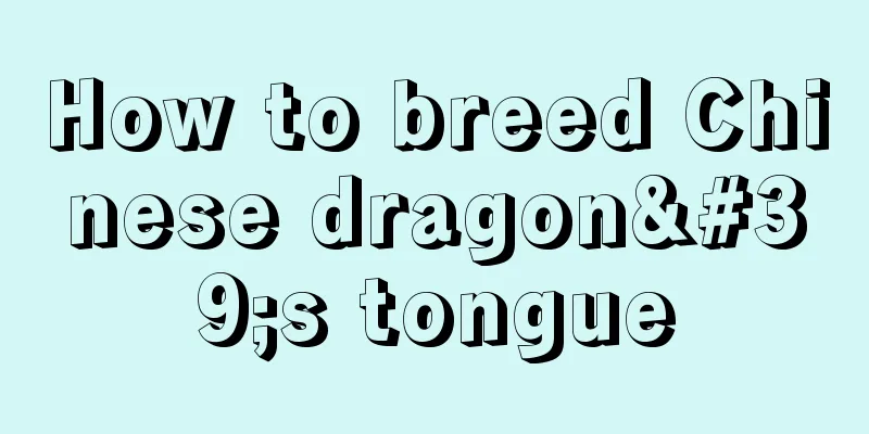 How to breed Chinese dragon's tongue