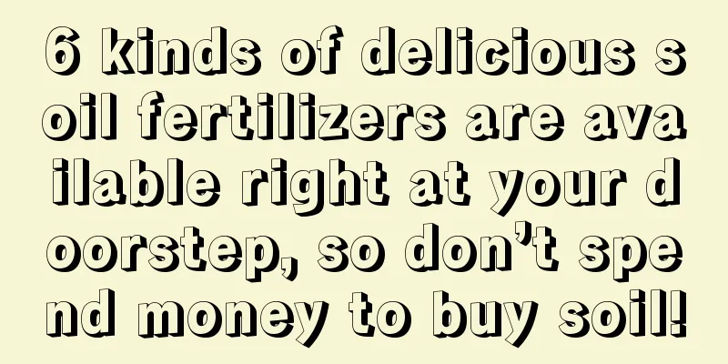 6 kinds of delicious soil fertilizers are available right at your doorstep, so don’t spend money to buy soil!