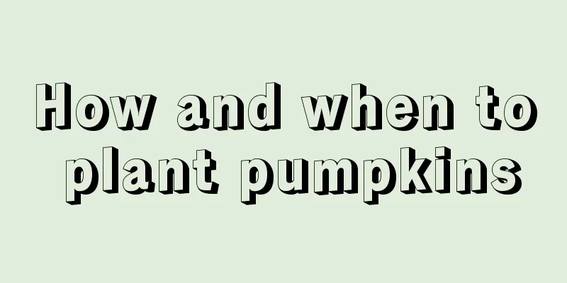 How and when to plant pumpkins