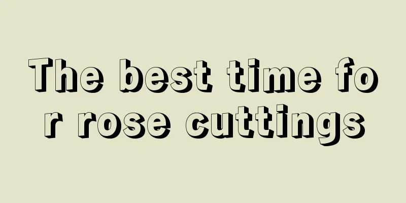 The best time for rose cuttings