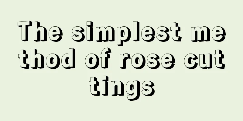 The simplest method of rose cuttings