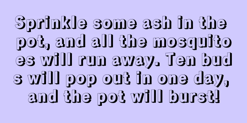 Sprinkle some ash in the pot, and all the mosquitoes will run away. Ten buds will pop out in one day, and the pot will burst!