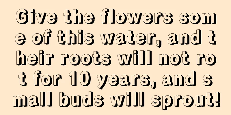 Give the flowers some of this water, and their roots will not rot for 10 years, and small buds will sprout!