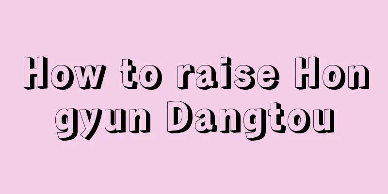 How to raise Hongyun Dangtou