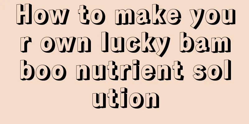 How to make your own lucky bamboo nutrient solution