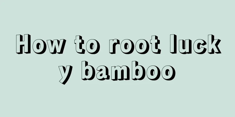 How to root lucky bamboo