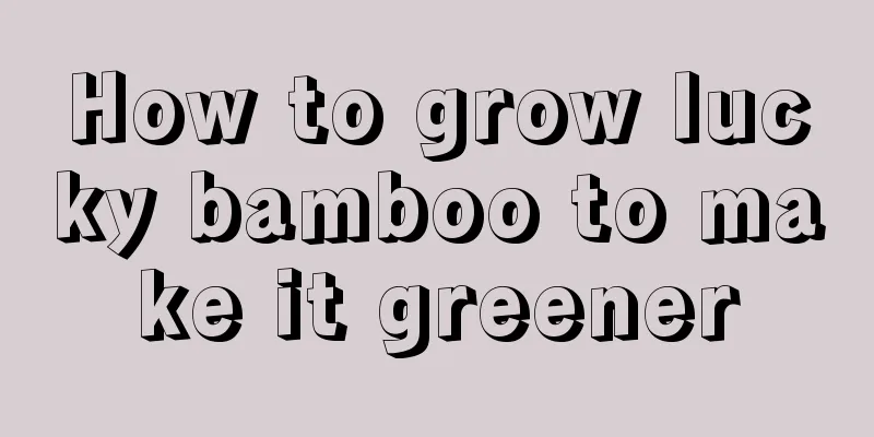 How to grow lucky bamboo to make it greener