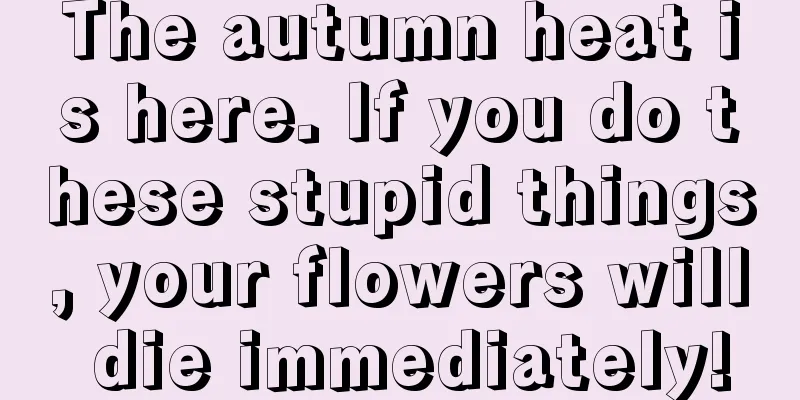 The autumn heat is here. If you do these stupid things, your flowers will die immediately!