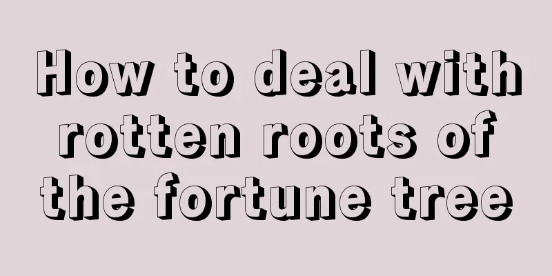 How to deal with rotten roots of the fortune tree