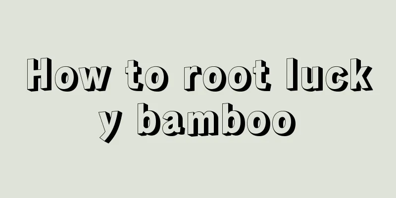 How to root lucky bamboo