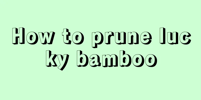 How to prune lucky bamboo