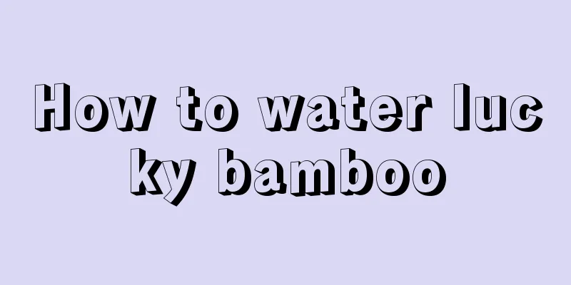 How to water lucky bamboo