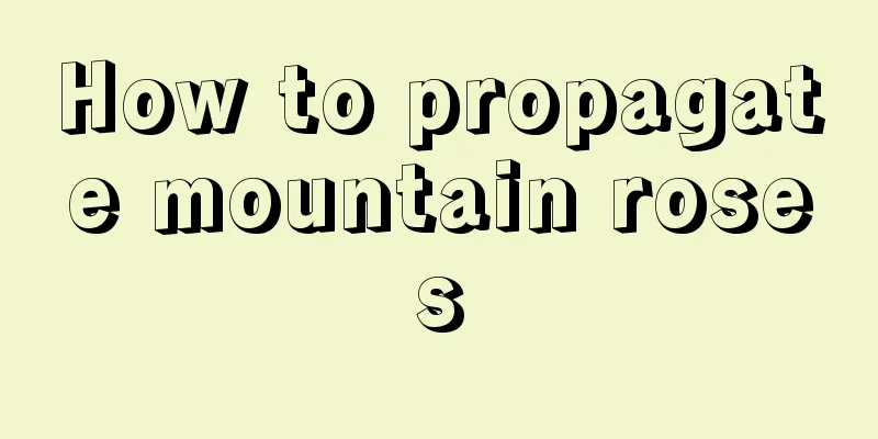 How to propagate mountain roses