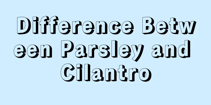 Difference Between Parsley and Cilantro