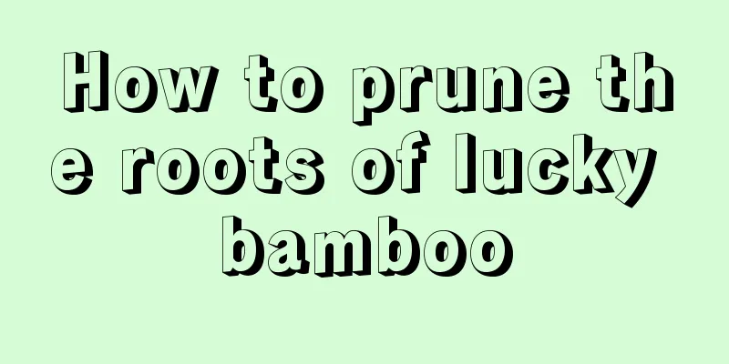 How to prune the roots of lucky bamboo