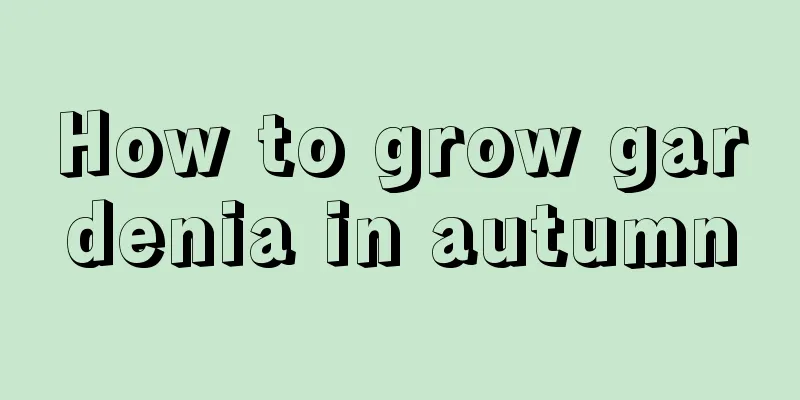 How to grow gardenia in autumn