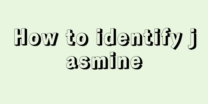 How to identify jasmine