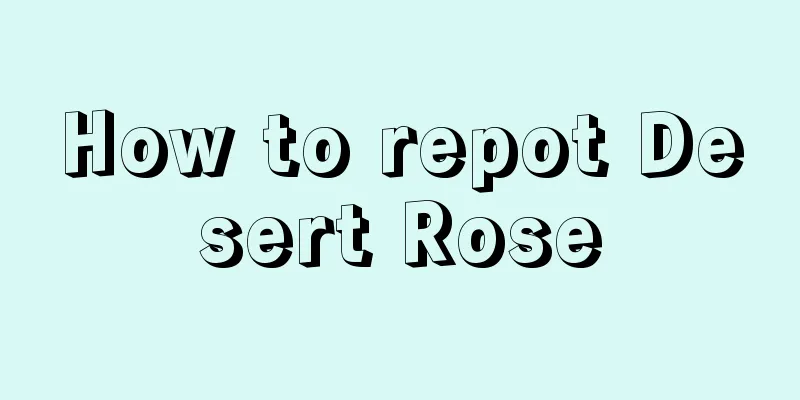 How to repot Desert Rose