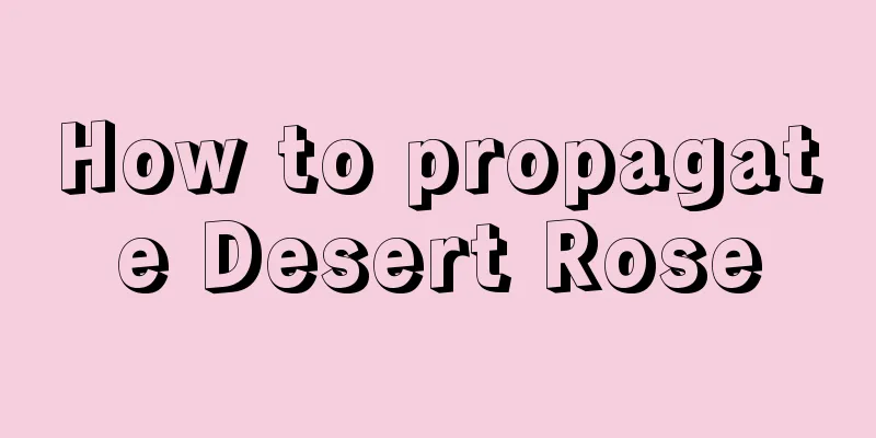 How to propagate Desert Rose