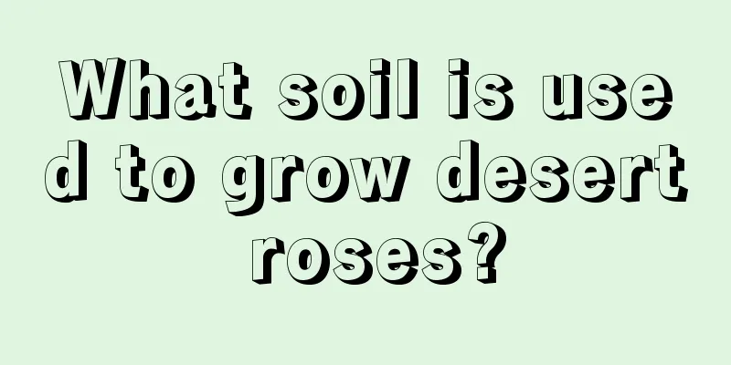 What soil is used to grow desert roses?