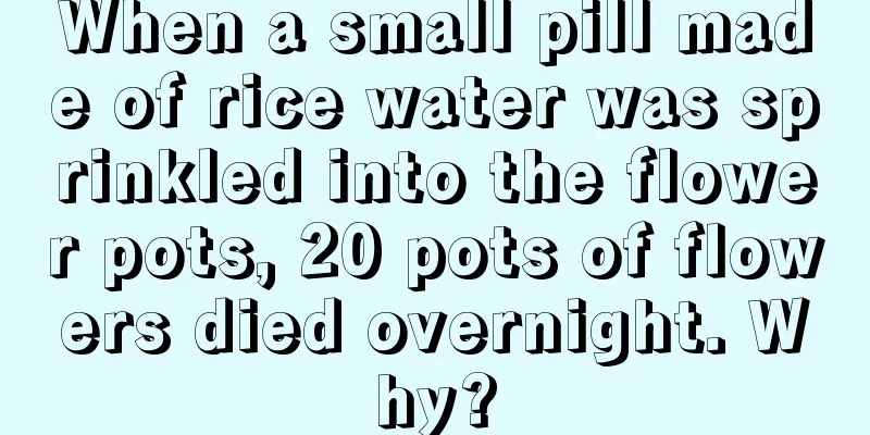 When a small pill made of rice water was sprinkled into the flower pots, 20 pots of flowers died overnight. Why?