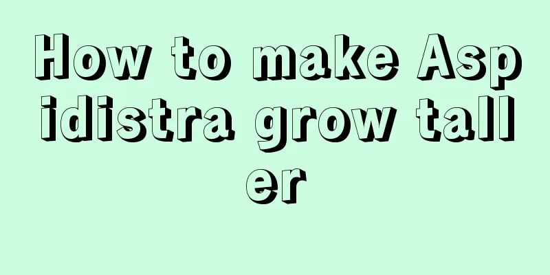 How to make Aspidistra grow taller