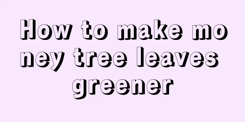 How to make money tree leaves greener