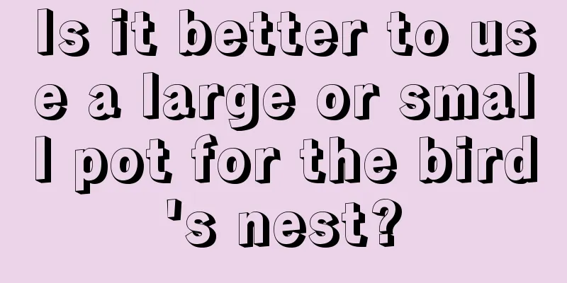 Is it better to use a large or small pot for the bird's nest?