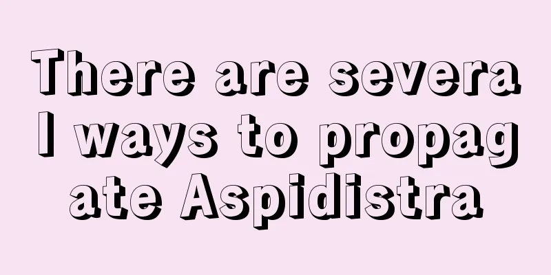 There are several ways to propagate Aspidistra