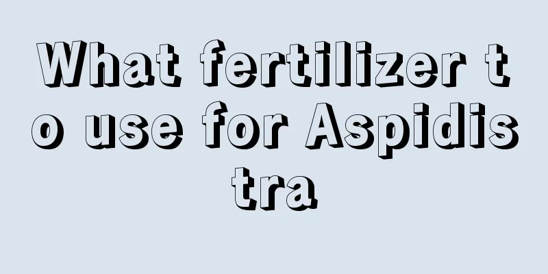 What fertilizer to use for Aspidistra