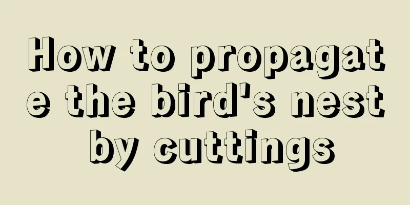 How to propagate the bird's nest by cuttings