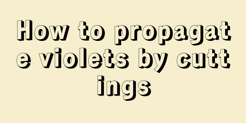 How to propagate violets by cuttings