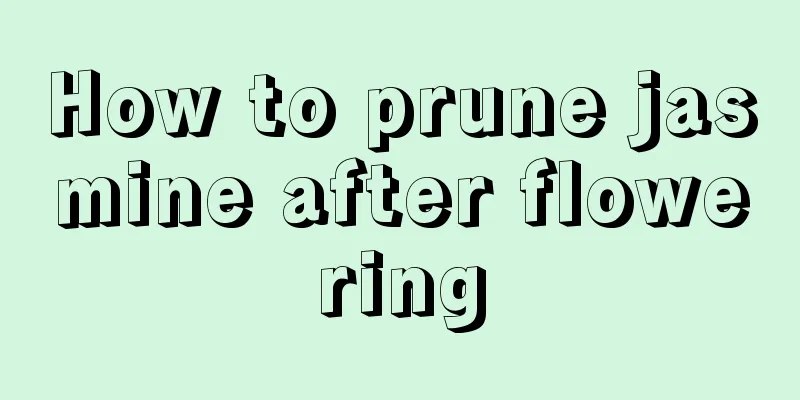 How to prune jasmine after flowering