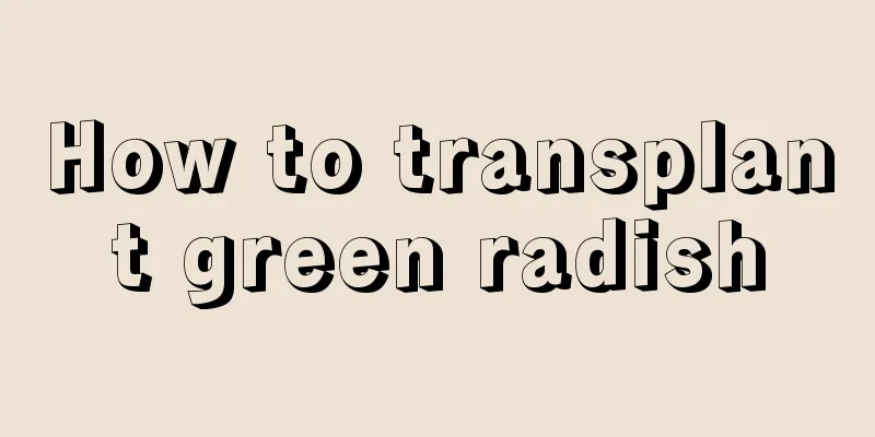 How to transplant green radish