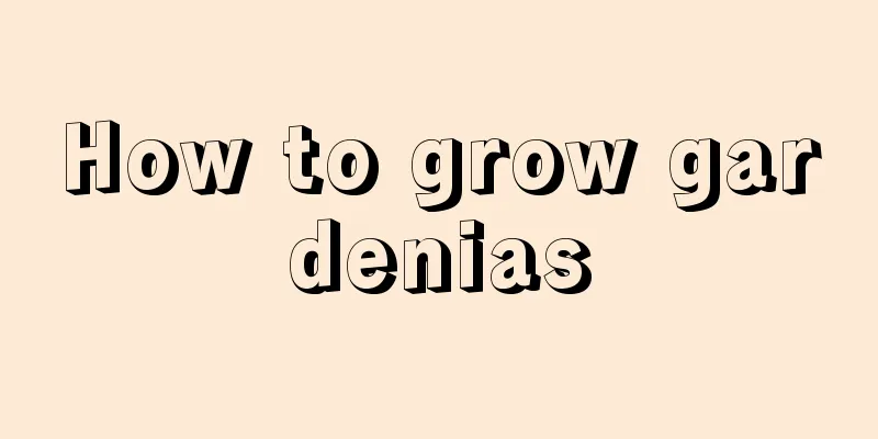 How to grow gardenias