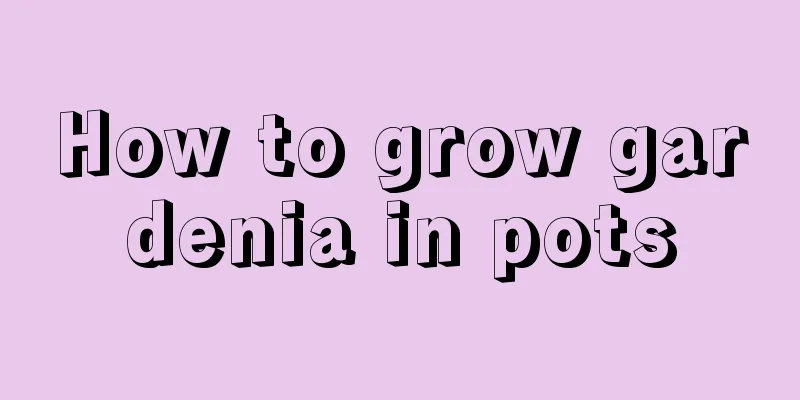 How to grow gardenia in pots