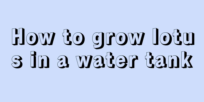 How to grow lotus in a water tank