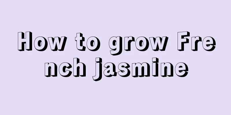 How to grow French jasmine