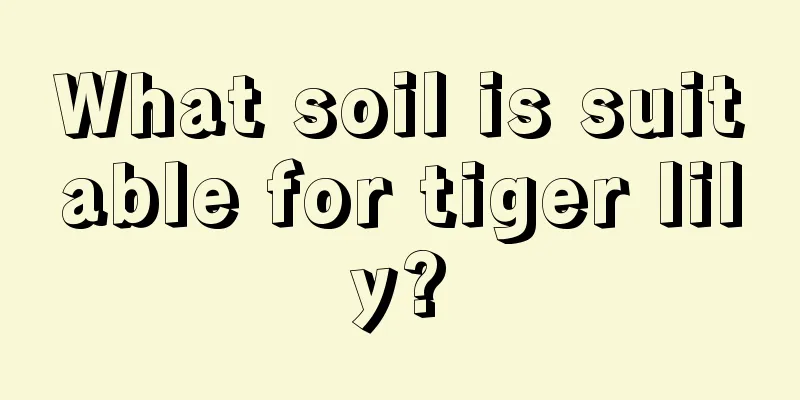 What soil is suitable for tiger lily?