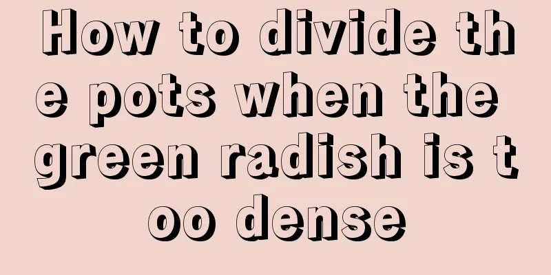 How to divide the pots when the green radish is too dense