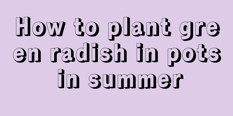 How to plant green radish in pots in summer